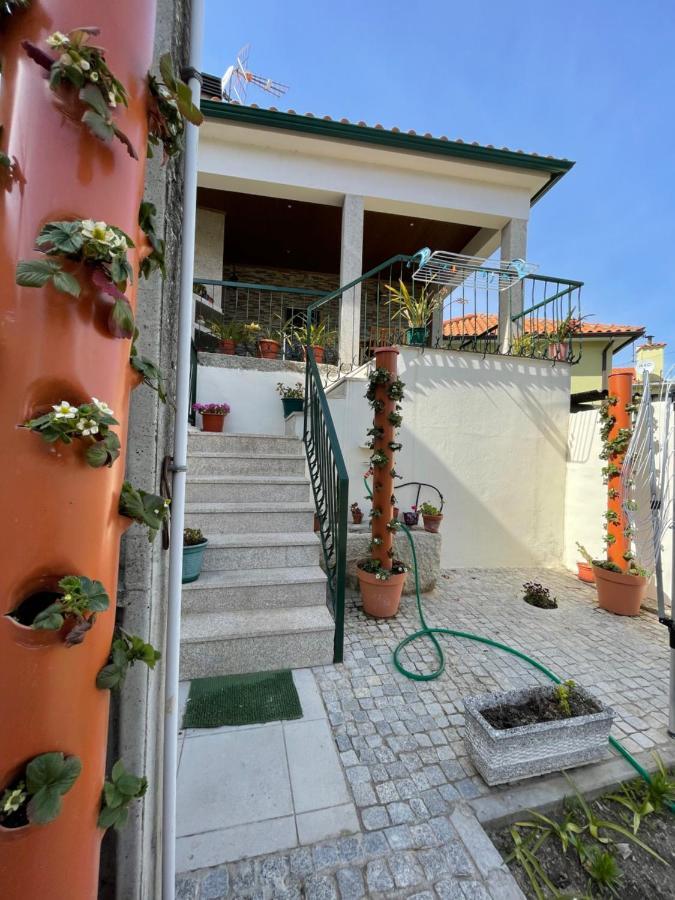 Holiday home Casa Do Souto - Local No Douro Aricera